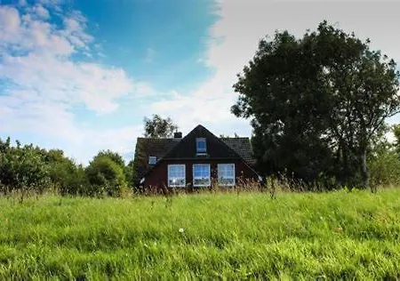 Landhaus Am Deich Dornum Extérieur photo
